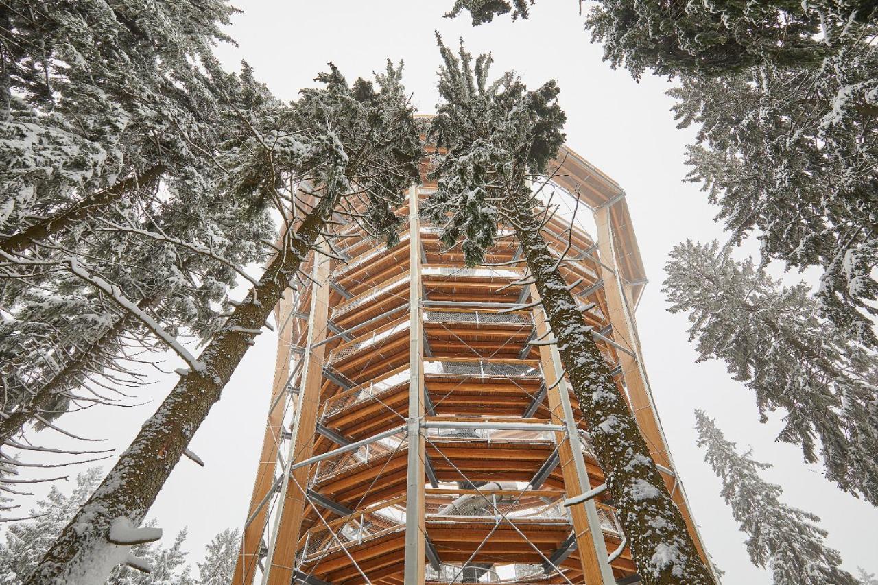 Ski Hotel Svoboda nad Úpou 외부 사진